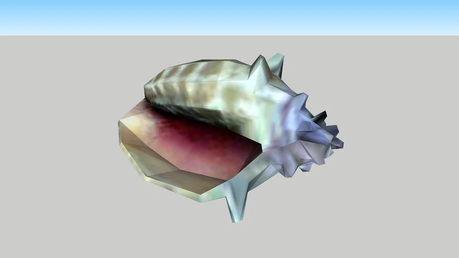 Shell