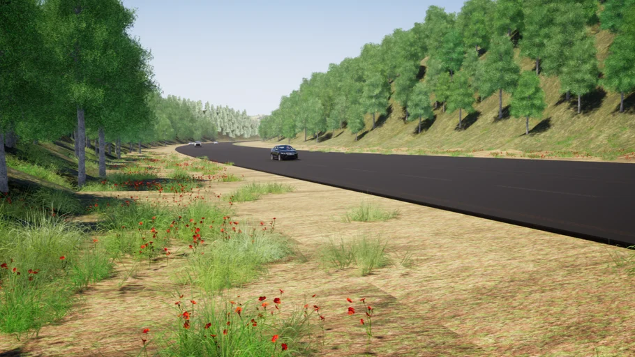 Landscape Highway in Forest