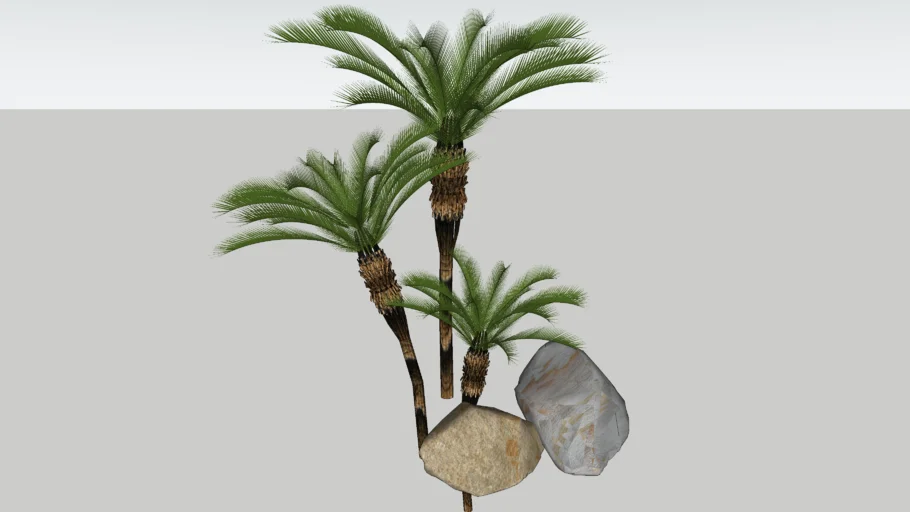 Palmeira Fênix (Phoenix roebelenii)