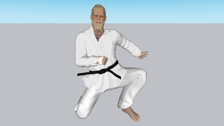 Jiu Jitsu Fighter