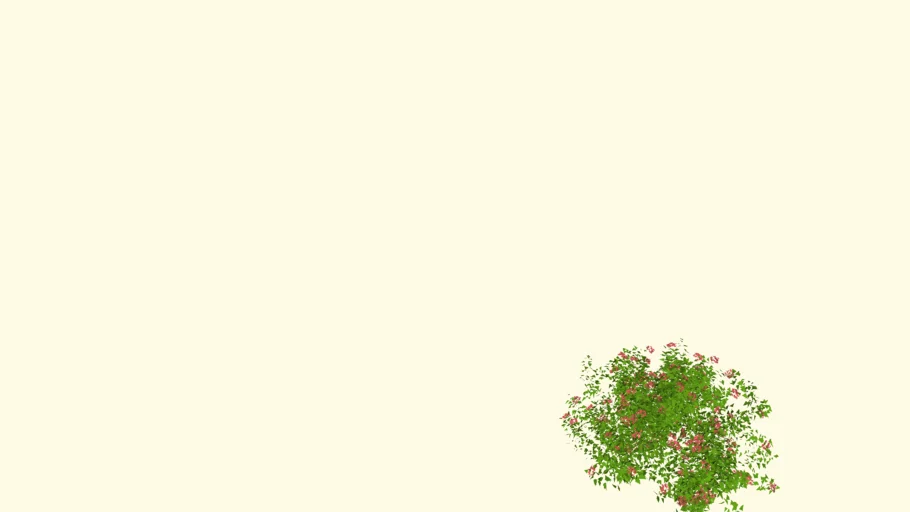Shrub