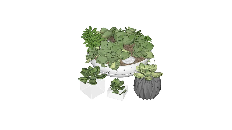 vegetação - suculentas vasos peq.skp