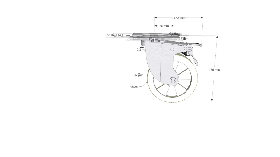 Bánh xe đẩy Pleyma PP 5Inch