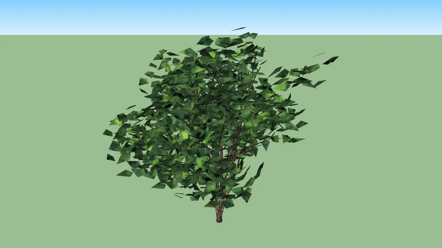 Multi stem tree