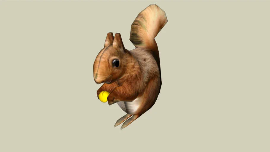 Squirrel