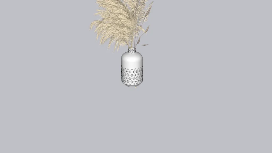 pampas and vase