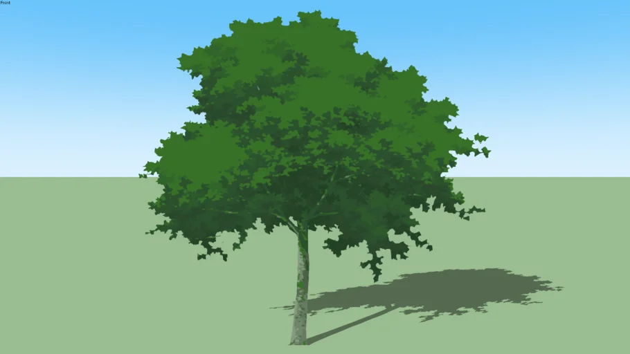 tree05f-b