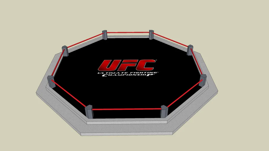 octagon cage fighting ring UFC