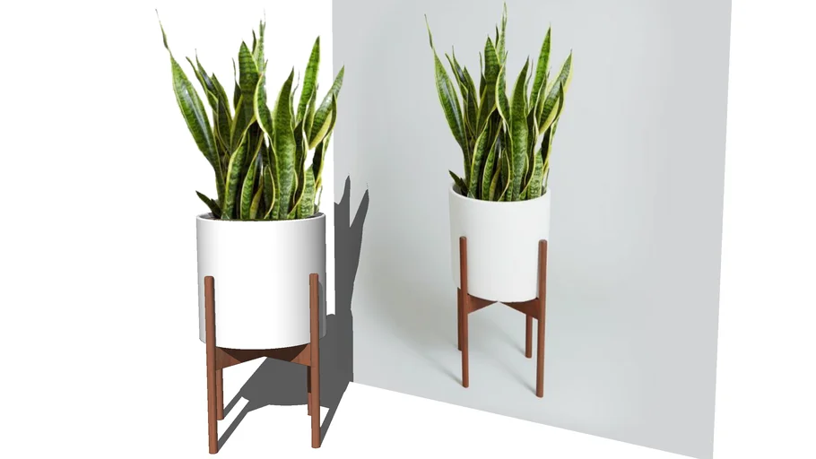 plant 7