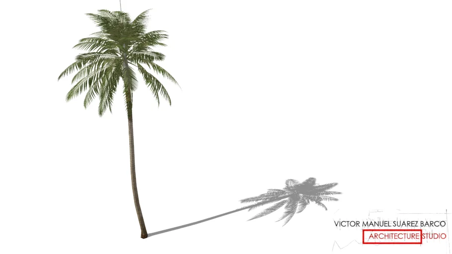 LA PALMA