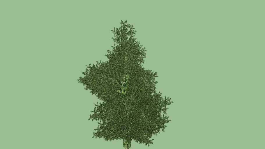 árbol 
