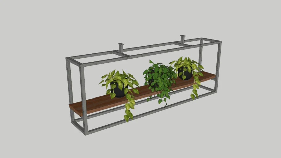 HANGING PLANTS