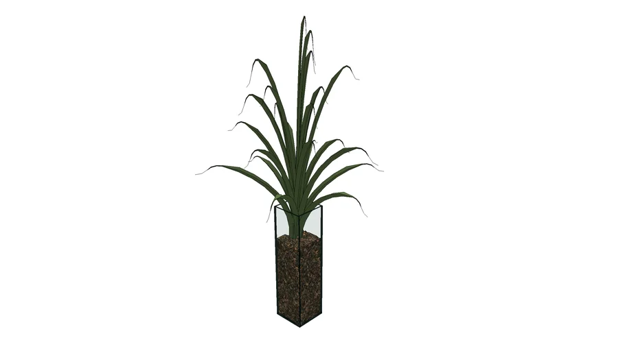 vaso planta