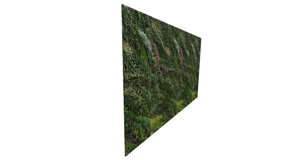 Muro verde