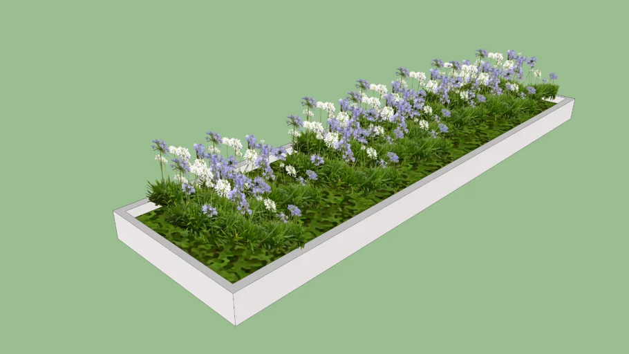 Small Garden