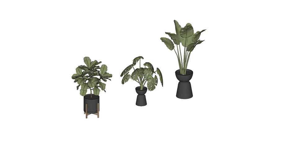 SketchUp Course - Planten
