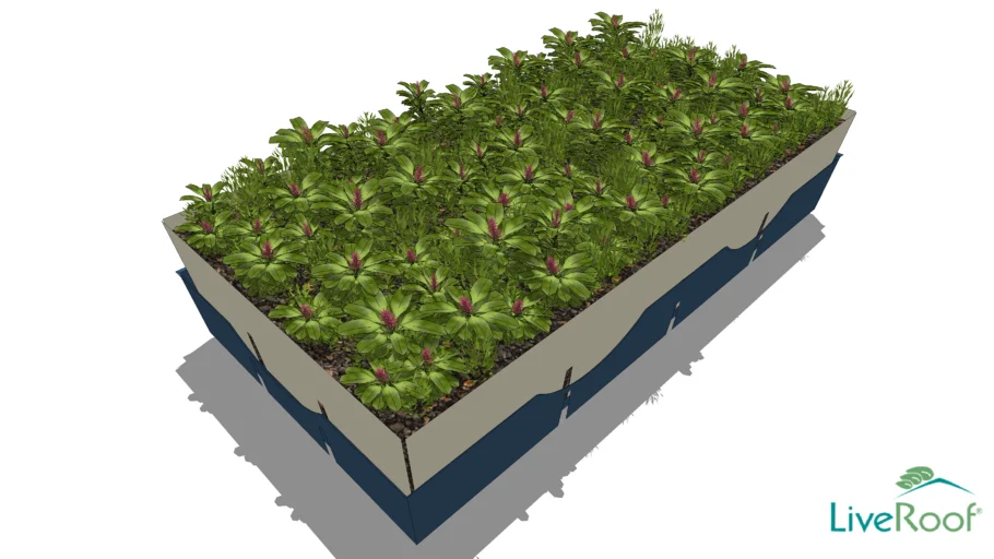 LiveRoof – Green Roof Module