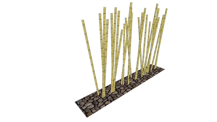 Bamboo