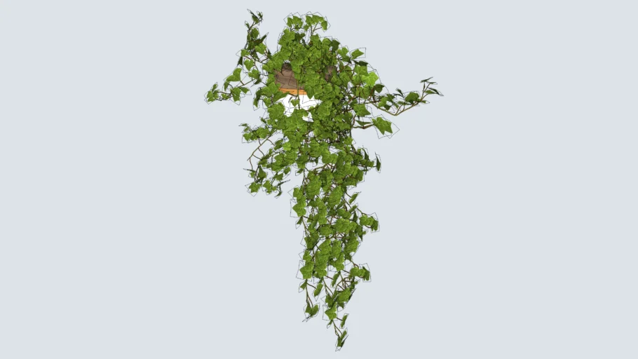 Cachepot com planta pendente - hera