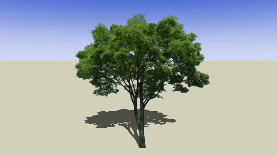 2D Tree_03