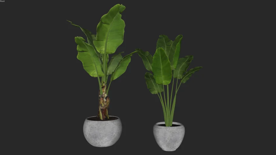 Vegetação - Kit de plantas no vaso 17