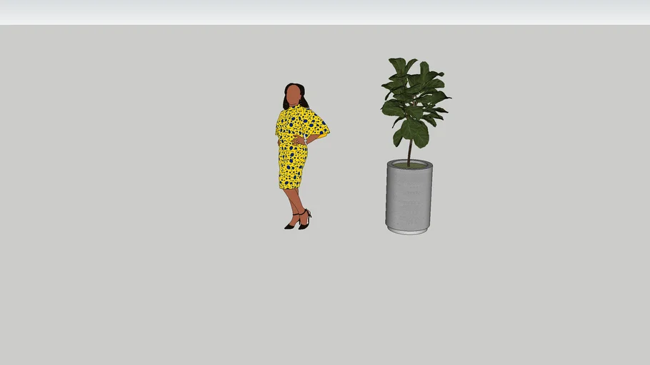 Indoor plants ver2018
