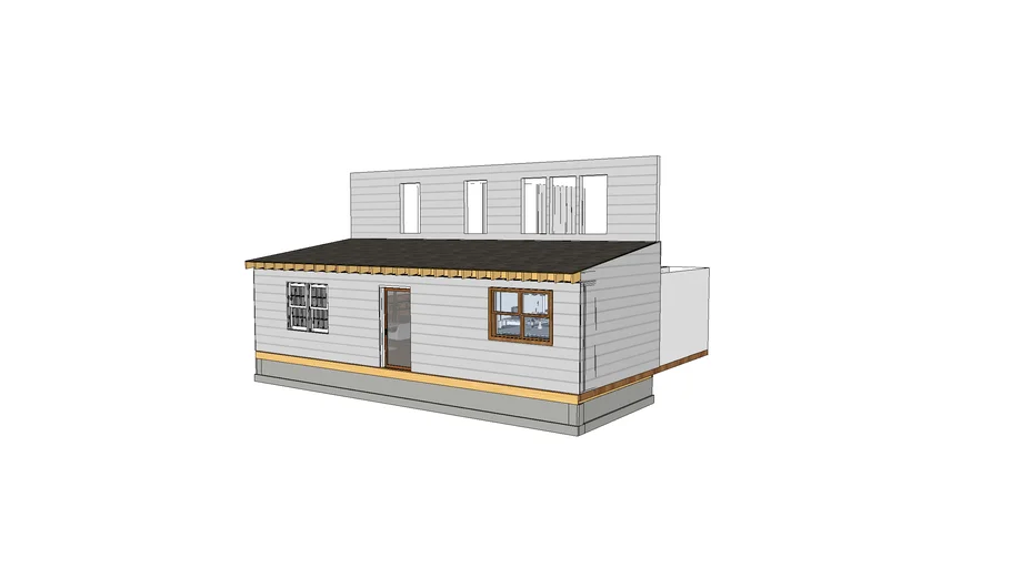 Home Rear Addition with Shed Roof - open concept