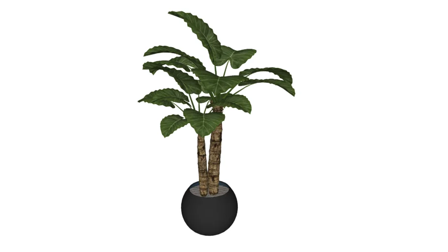 PLANT POT