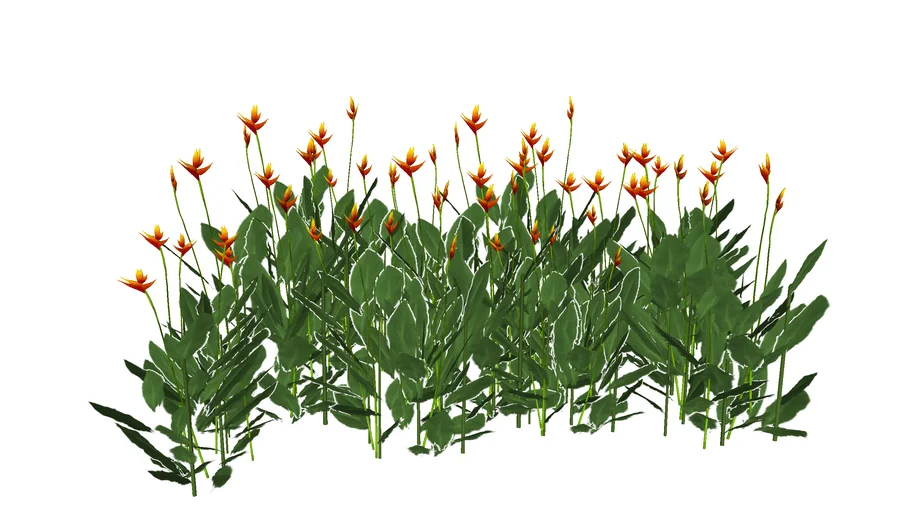 PLANTA JARDIM EVA