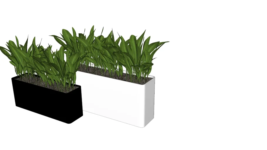 canteiro de plantas