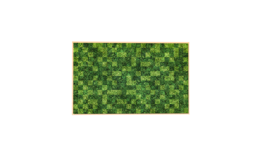 Canvas Large Multi-Color