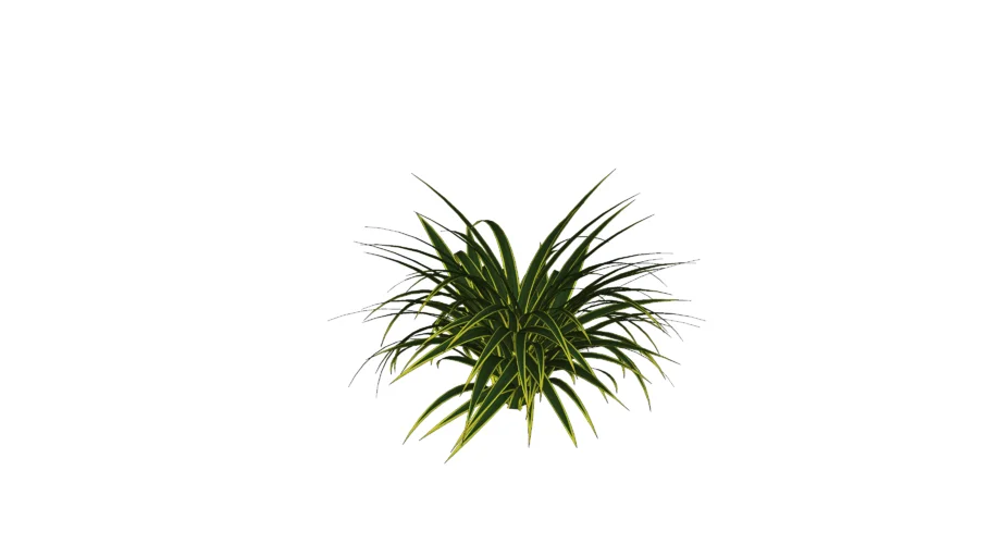 Planta 1