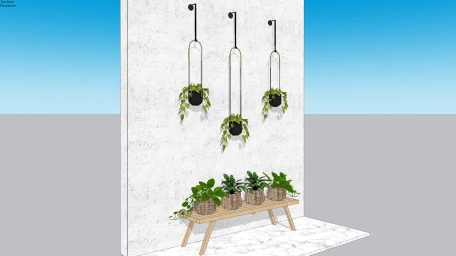 HANGING PLANTS