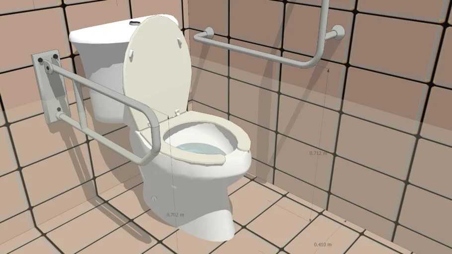 Toilet for the disabled
