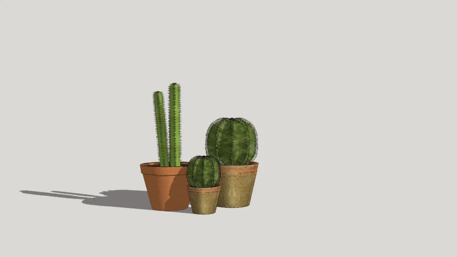 Cactus set