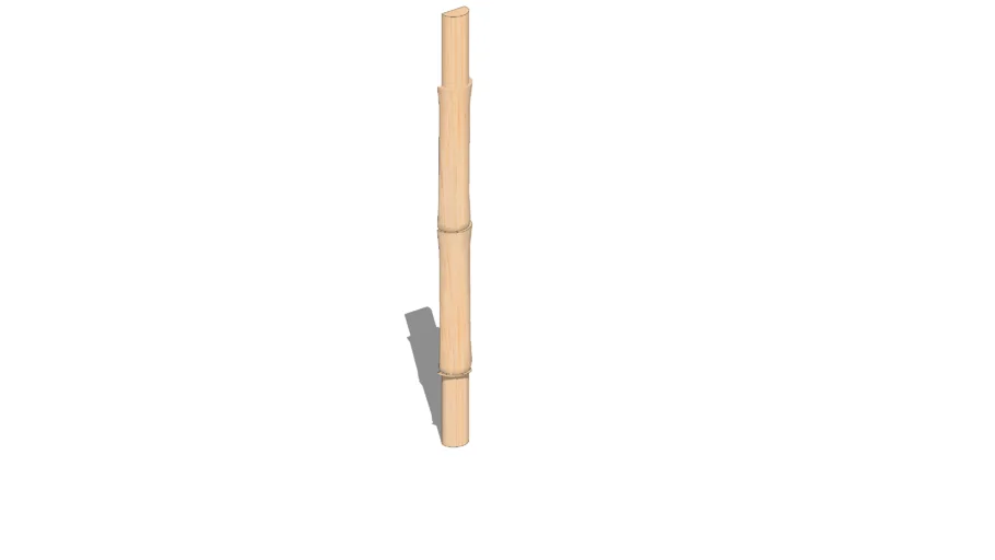 Bamboo