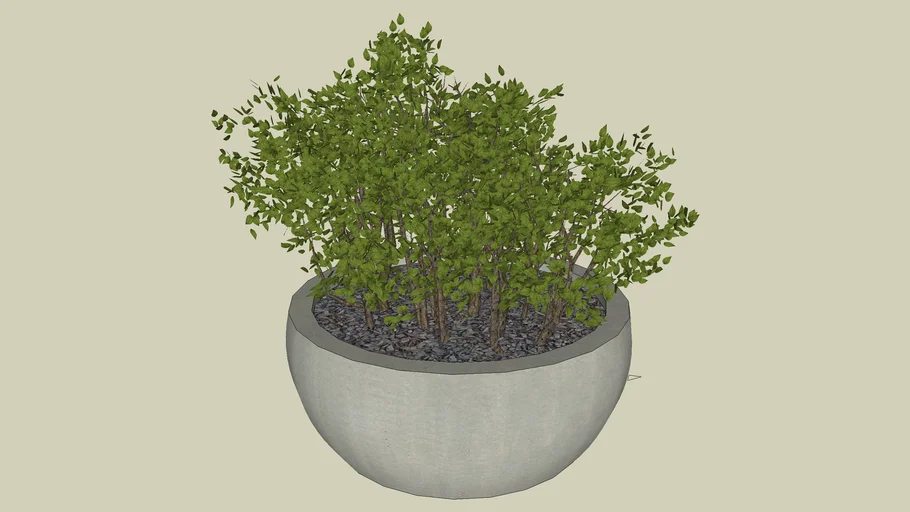 VASO+PLANTA 3.4.