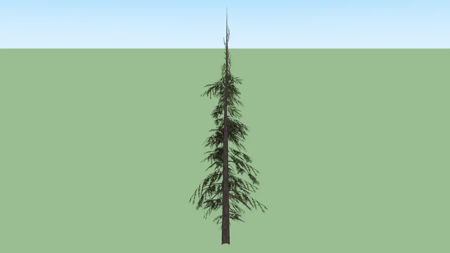 Baum | 3D Warehouse
