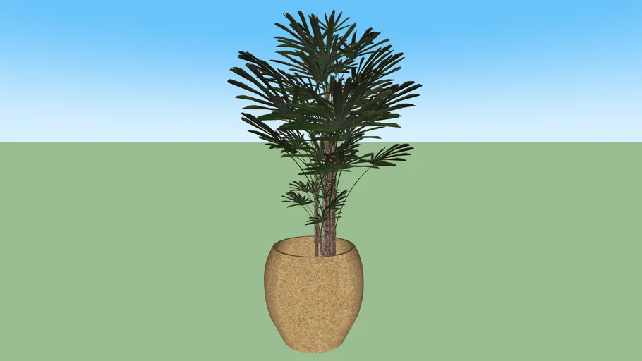 rafias vaso de barro