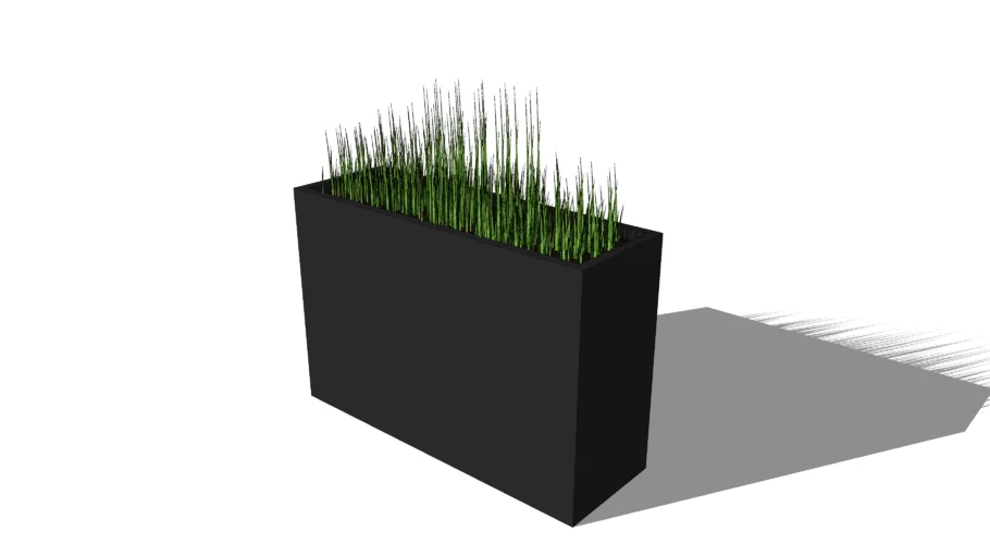 Vase Plant