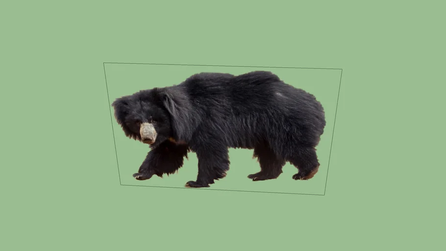 2d_sloth_bear_walking_pose