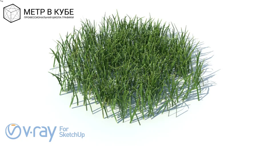 Grass, hight poly + maps, vray ready (008)