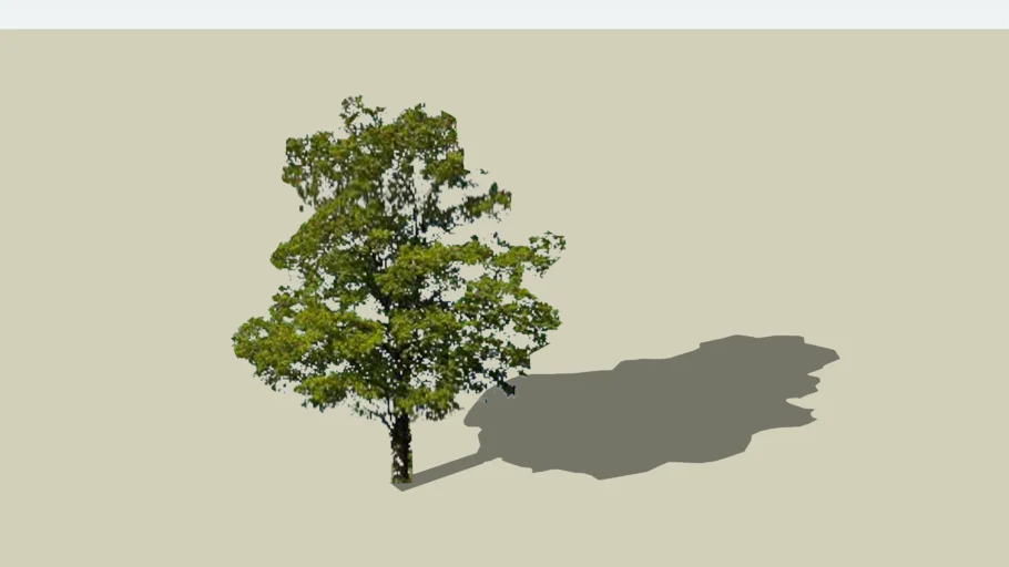 Modified transparent-tree (from MattDiMeo)