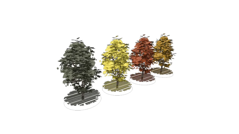 Tree - 2D and 3D