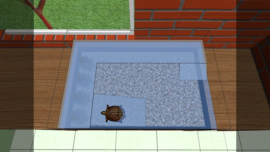 pecera tortuga