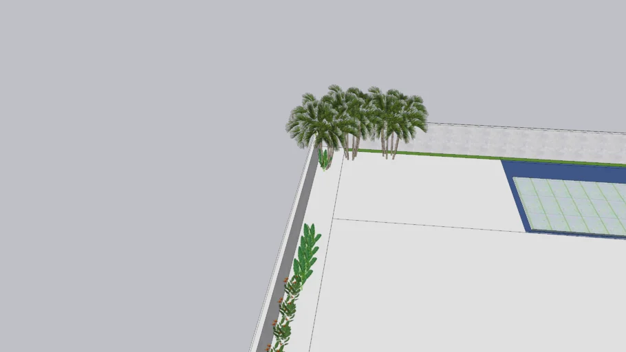 areca