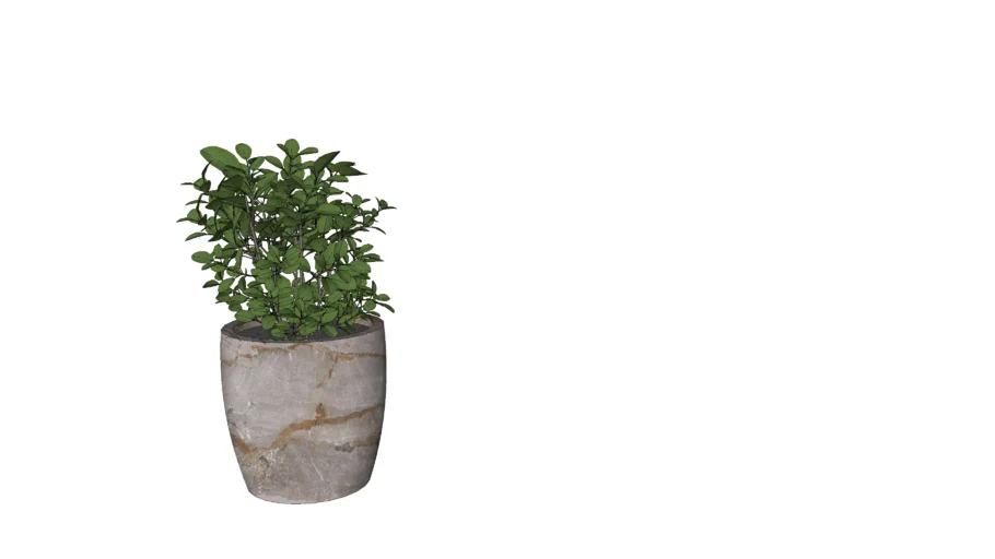 VASO COM PLANTA / VASO VIETNAMITA