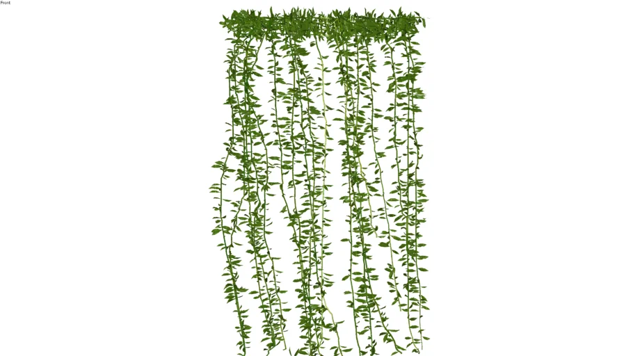 VINES (10).skp