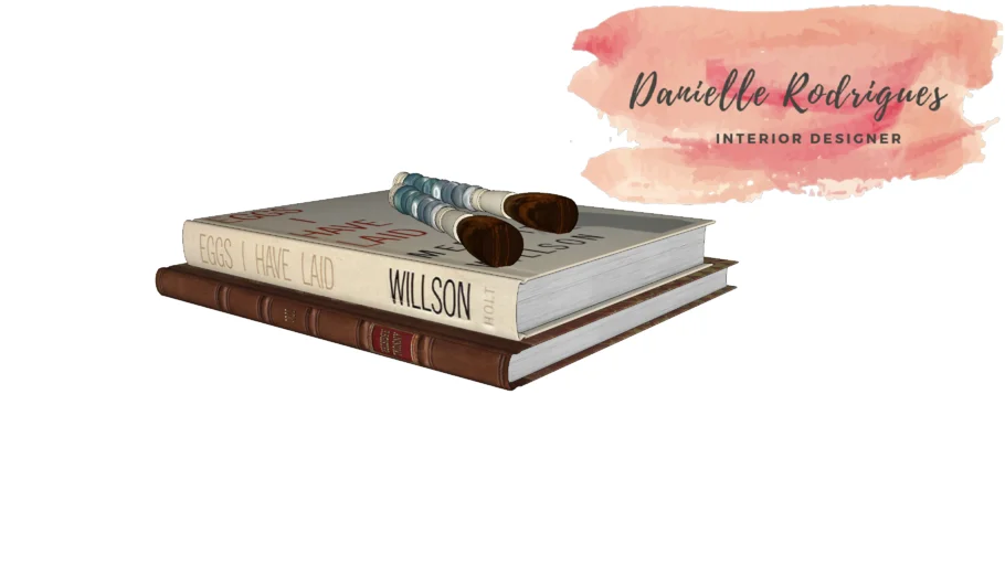 LIVRO E PINCEL