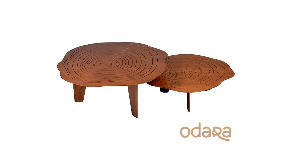 Mesa de Centro Tronco